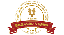 2025杰出国际知识产权服务机构