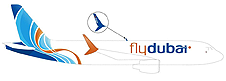 flyD.png